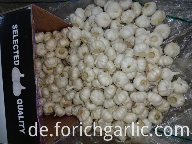 Pure White Garlic New